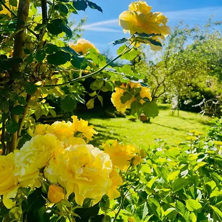 Garre Hotell Savignone